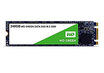 Western Digital WDS240G2G0B WD 240 GB Internal SSD M.2 SATA, Green